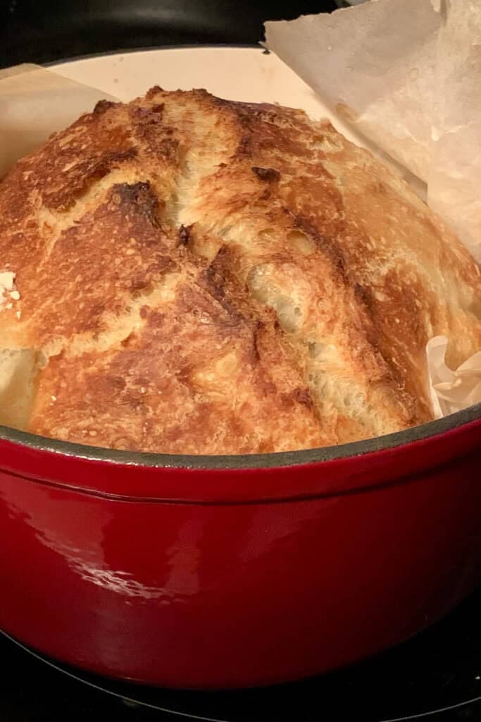 High Altitude No-Knead Sourdough Bread in a Dutch Oven.